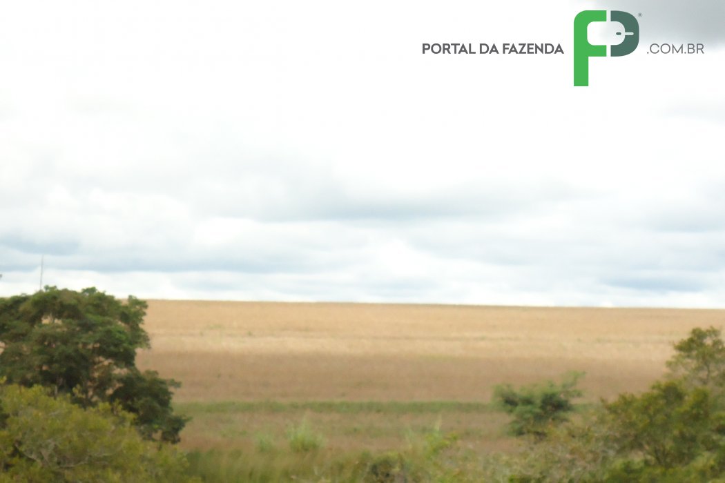 Fazenda 350ha em Patos de Minas/MG