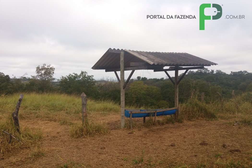 Fazenda 123ha em Presidente OlegÃ¡rio/MG