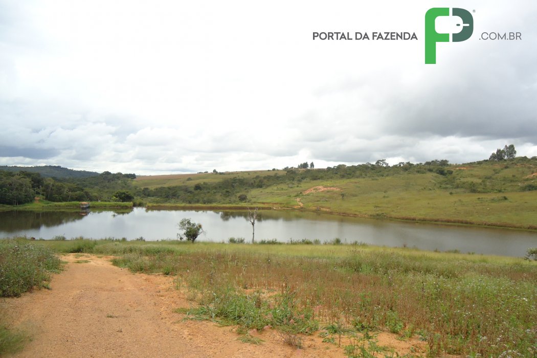 Fazenda 350ha em Patos de Minas/MG